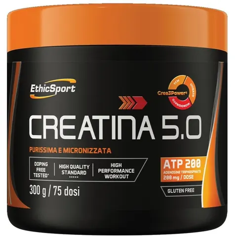Es CREATINA 5.0 300G – immagine 3