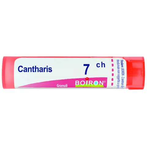 boiron Cantharis gr 7ch bo – immagine 4