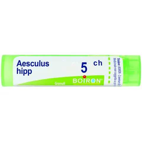 boiron Aesculus hippoc 5ch gr bo – immagine 5