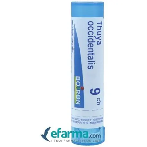 Boiron Thuya Occidentalis 9 Ch Granuli – immagine 4
