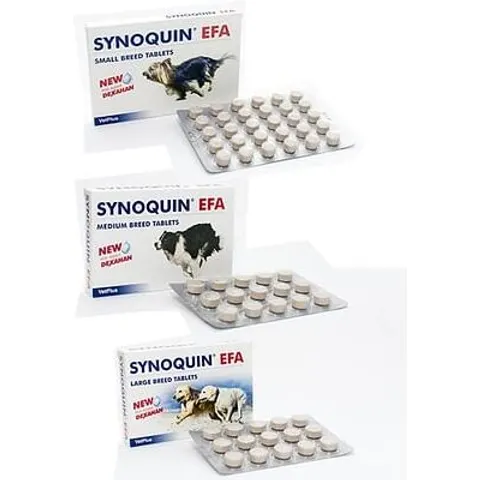 Synoquin Efa L Breed 3Cpr – immagine 2