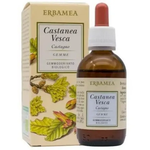 ERBAMEA Srl CASTANEA VESCA GEMME GEMMODER – immagine 2