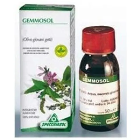 Specchiasol Ribes Nero Gemme 100ml – immagine 2