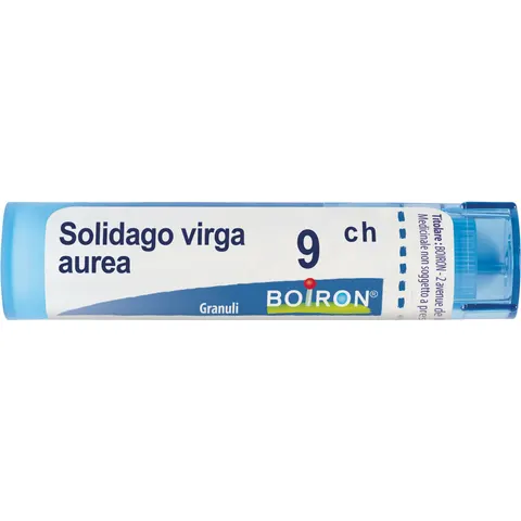 BOIRON Srl SOLIDAGO VIRGA AUREA GRAN 9CH – immagine 2