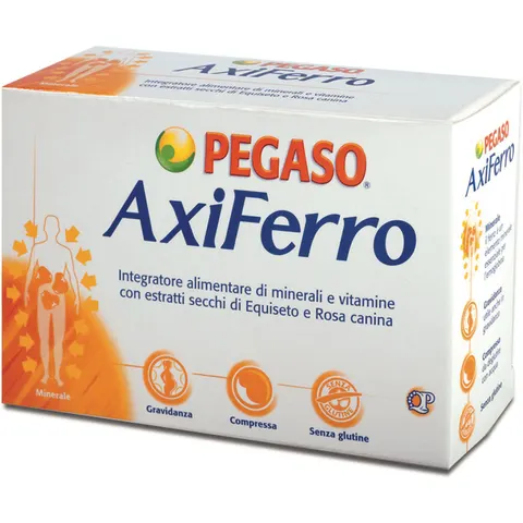 Pegaso Axiferro 100 Cpr – immagine 2