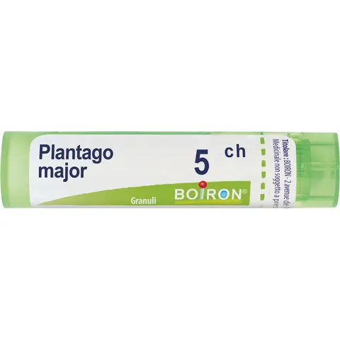 Plantago Major 5ch Granuli Multidose Boiron – immagine 2