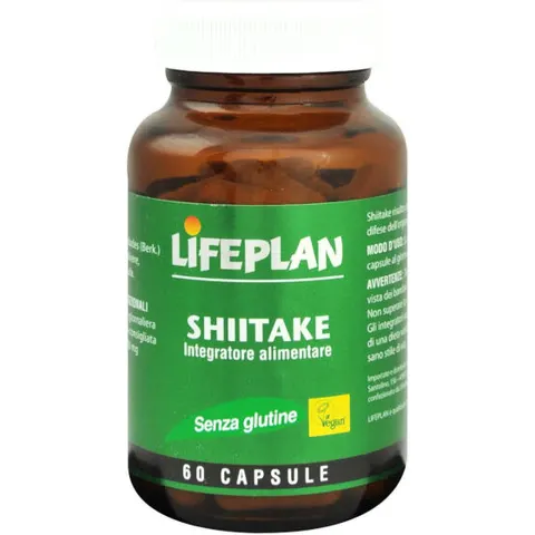 Shiitake 6Cps – immagine 2