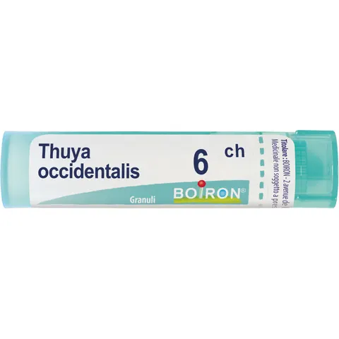 boiron Thuya occident 6ch gr bo – immagine 2