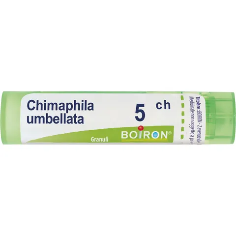 Chimaphila Umbellata 5ch Granuli Multidose Boiron – immagine 2