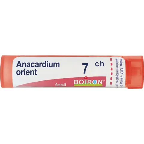 boiron Anacardium orient 7ch gr – immagine 2