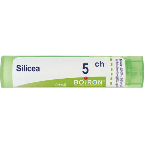 Boiron Silicea 5 Ch Granuli – immagine 2