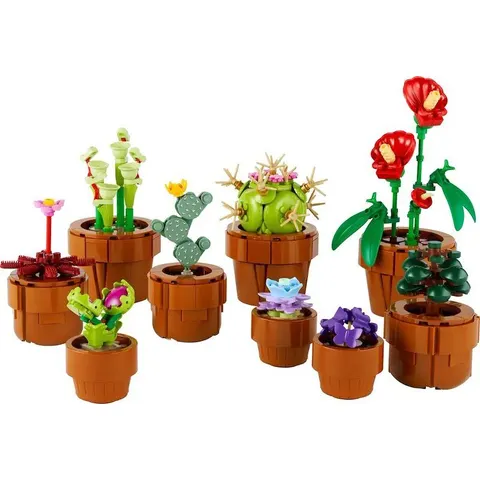 Lego ICONS PIANTINE- 10329 – immagine 2