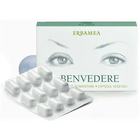 Benvedere 24CPS Erbamea – immagine 4