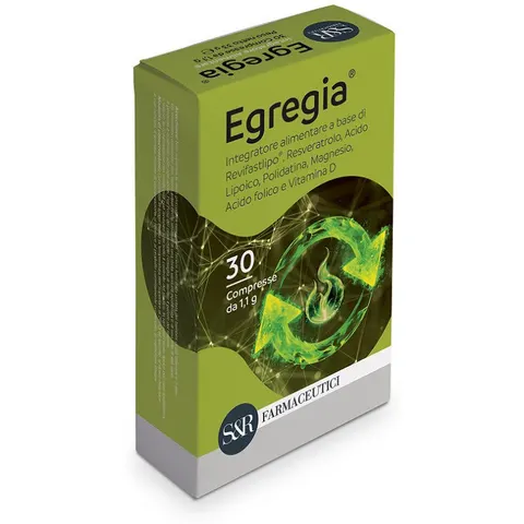 Egregia 3Cpr – immagine 4