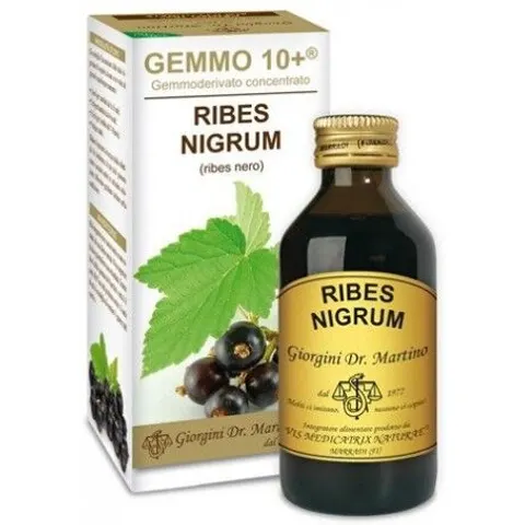 giorgini Ribes nero gemme 10+100ml gmg – immagine 4