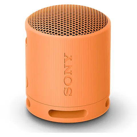 Sony SPEAKER BLUETOOTH SRSXB100D – immagine 3