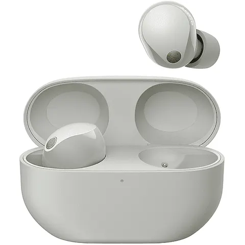 Sony WF-1000XM5 AURICOLARI WIRELESS, Silver – immagine 2