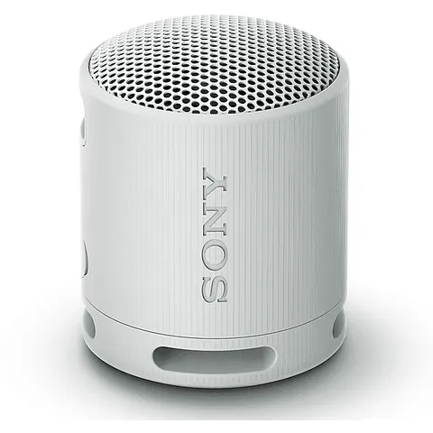 Sony SPEAKER BLUETOOTH SRSXB100H – immagine 2