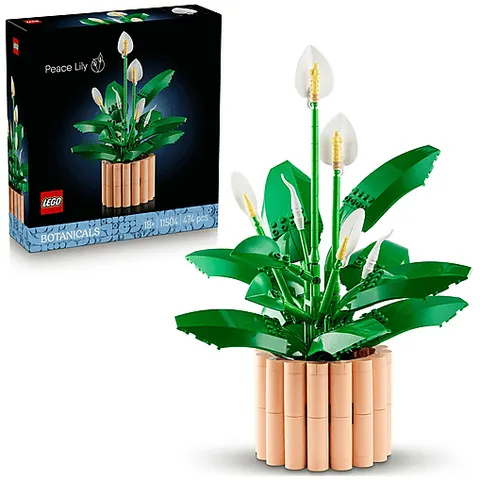 Spatifillo Lego Botanicals 11504 – immagine 4