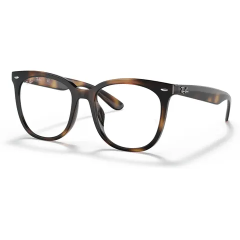 Ray-Ban 4379VD (2012) - RB 4379VD 2012 – immagine 2