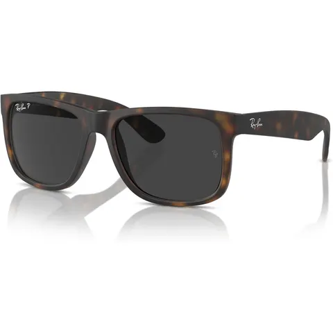 Ray-Ban RB 4165 (865/87) – immagine 2