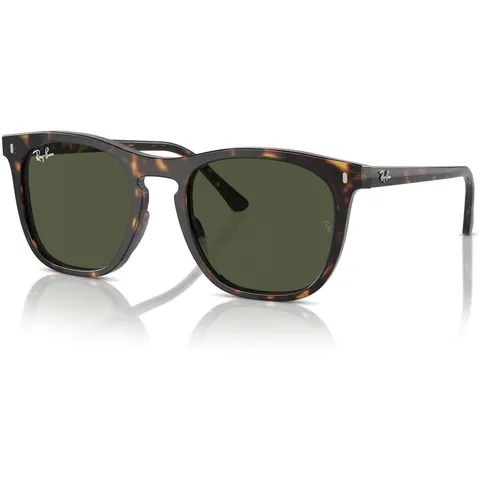 Ray-Ban 2210 (902/31) – immagine 2