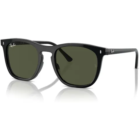 Ray-Ban 2210 (901/31) – immagine 2