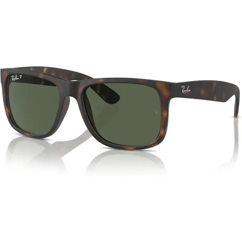 Ray-Ban RB 4165 (865/9A) – immagine 2