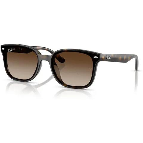 Ray-Ban 4461D (710/13) – immagine 2