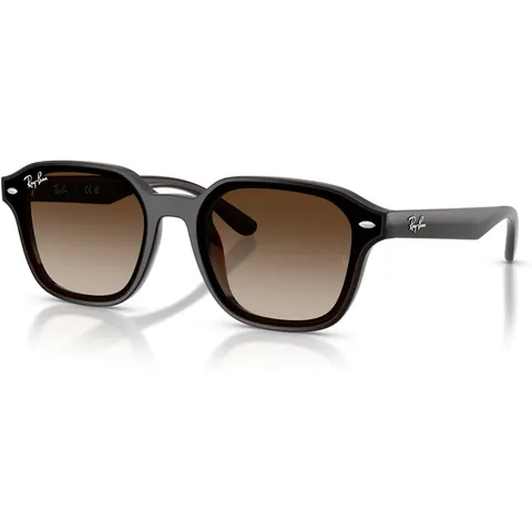 Ray-Ban 4458D (714/13) – immagine 2