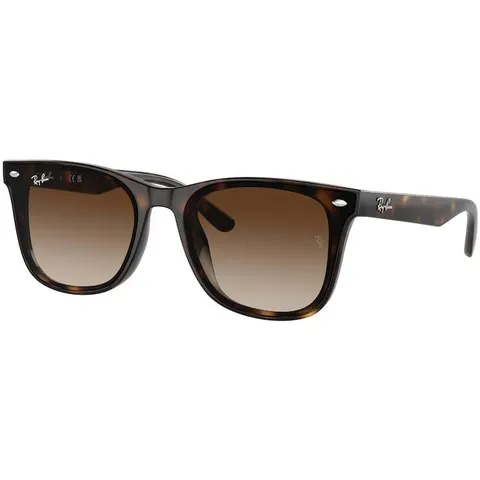 Ray-Ban 4420 (710/13) – immagine 2