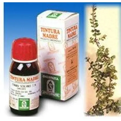 SPECCHIASOL Srl UVA URSINA TM 50ml – immagine 3