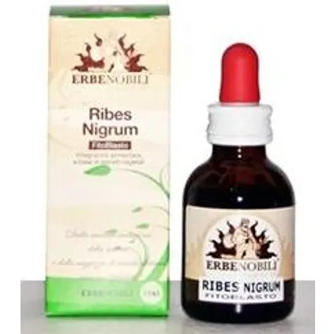 erbenobili Fitoblasto ribes nigrum 50ml – immagine 3