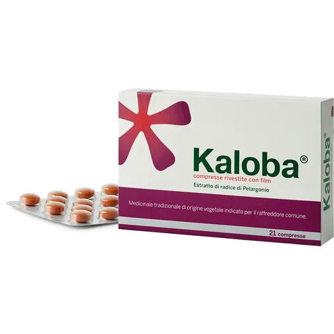 Kaloba 20 mg 21 Compresse – immagine 2