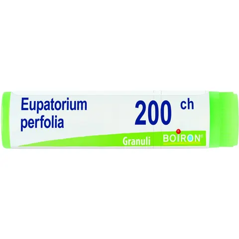Boiron Eupatorium Perfoliatum 200 Chgl – immagine 2