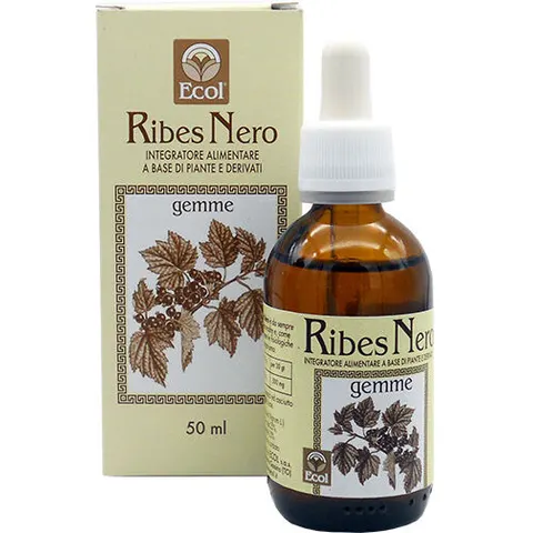 Ecol Ribes Nero Gemme 50 ml – immagine 3