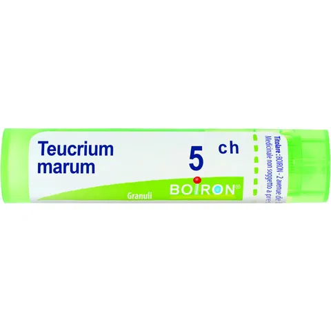 Boiron Teucrium Marum 5 Ch 80 Gr 4 G – immagine 2