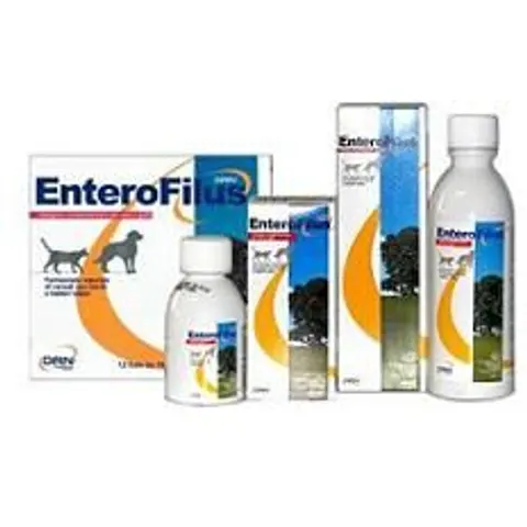 Enterofilus 12X10 ml – immagine 3