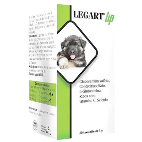Aurora Legart Up 120 Compresse – immagine 2