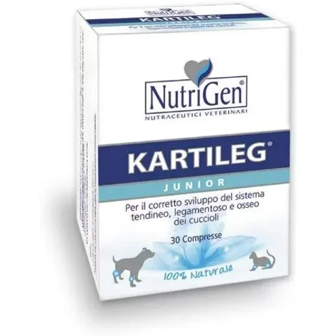 Kartileg J 60 Tavolette – immagine 3