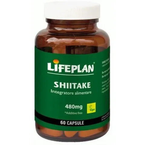 Shiitake 6Cps – immagine 4