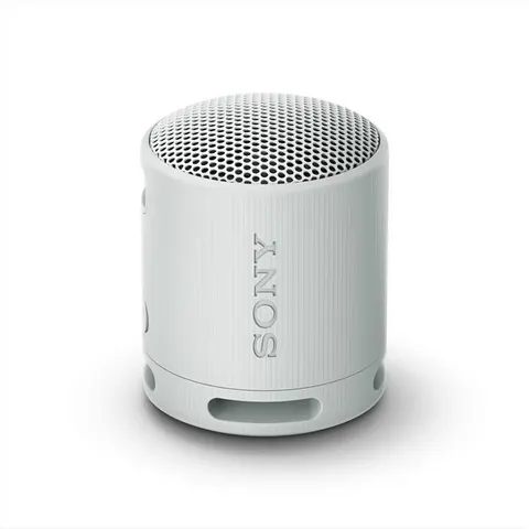 Sony SPEAKER BLUETOOTH SRSXB100H – immagine 5