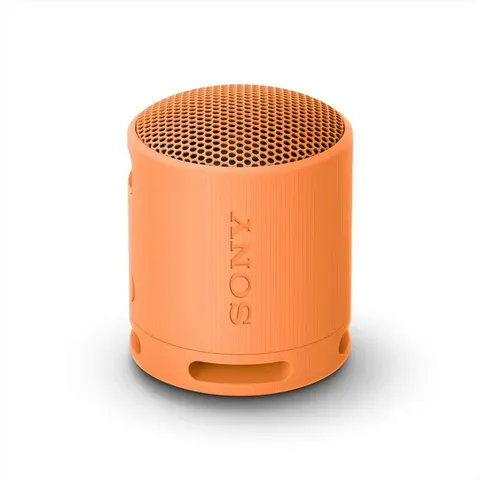 Sony SPEAKER BLUETOOTH SRSXB100D – immagine 2