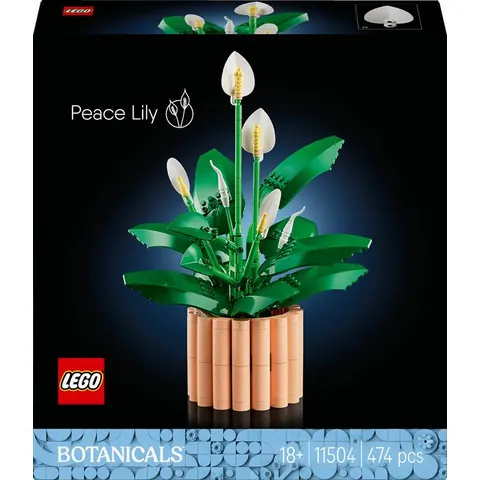 Spatifillo Lego Botanicals 11504 – immagine 3