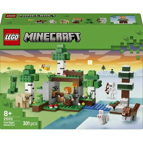 Lego Minecraft Avventura della prima notte 21593 – immagine 4