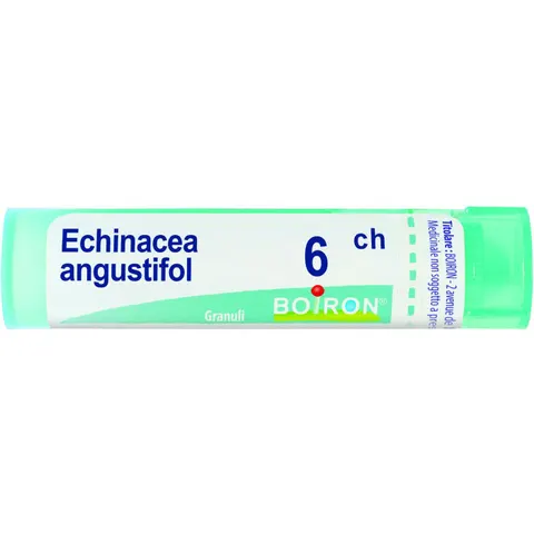 boiron Echinacea angust 6ch bo gr – immagine 3