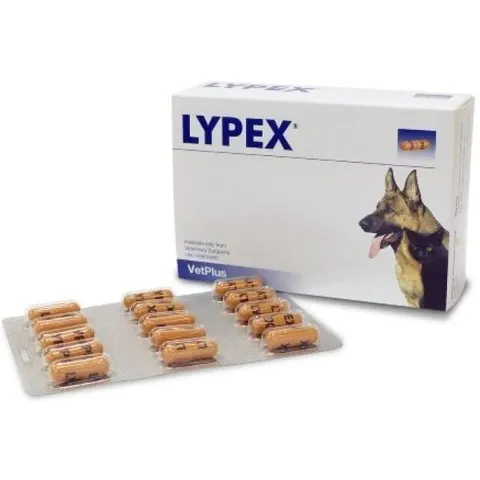 vetplus ltd Lypex 60 Capsule – immagine 3