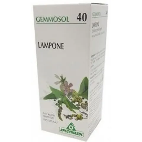 Specchiasol Lampone 1 Dh Gemme 50ml – immagine 2