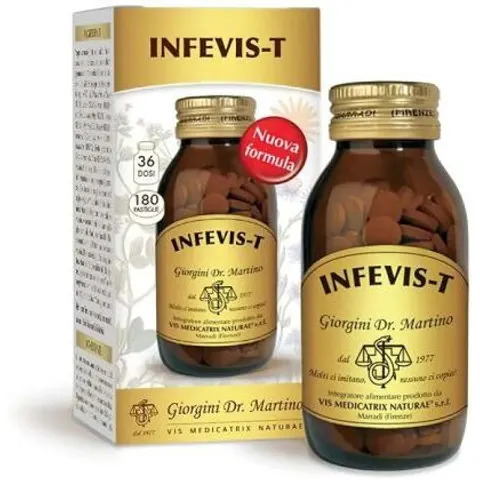 Giorgini Infevis T 180Past 90G – immagine 3