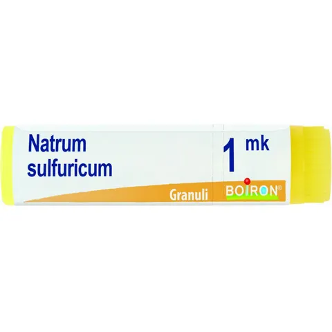 BOIRON Srl NATRUM SULF.Dose MK – immagine 2
